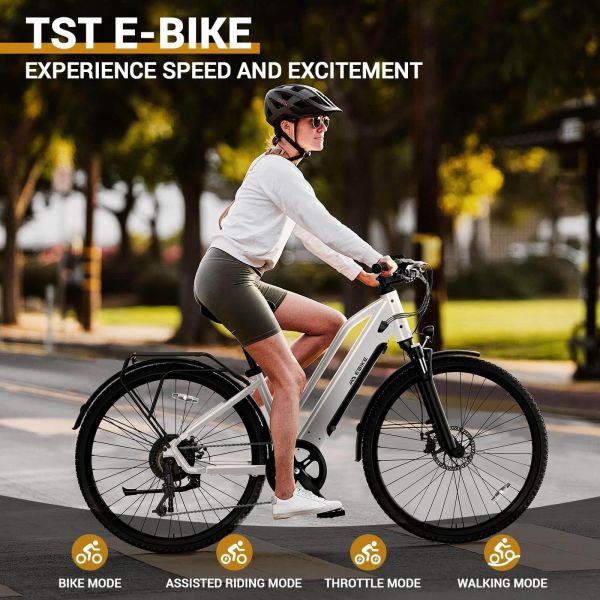 TST C624 Adult Electric Mountain Bike Rear Hub Motor Steel Frame Disc Brake Brushless Motor 10.4Ah Lithium Battery