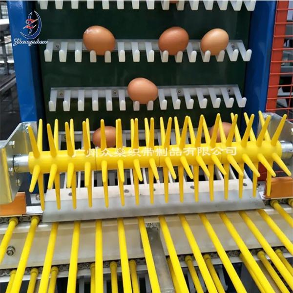 Décélérateur d'œufs régulateur de vitesse d'œuf pour machine de collecte d'œufs