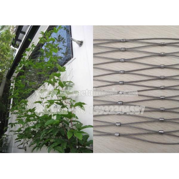 Professional Grade 50Mm Polishing Stainless Steel X Tend Mesh With Tensile Strength