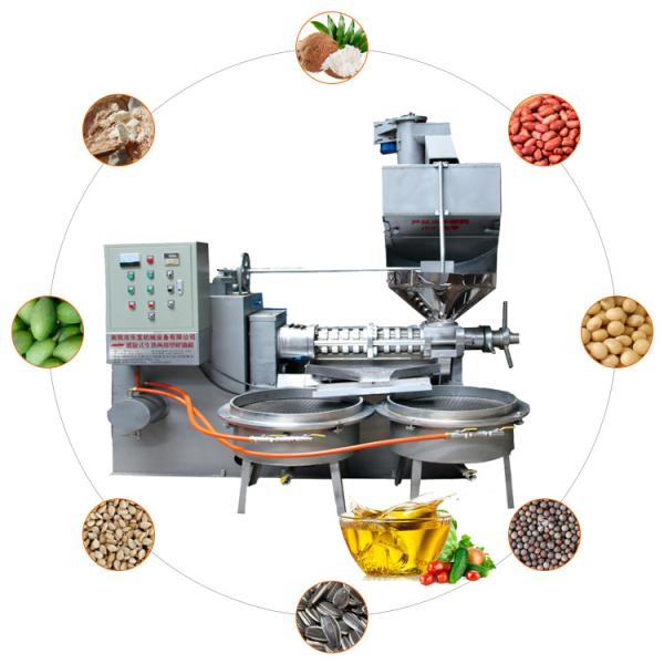 Complete Olive Screw Oil Press Machine Coconut Oil Production Line Small Scale