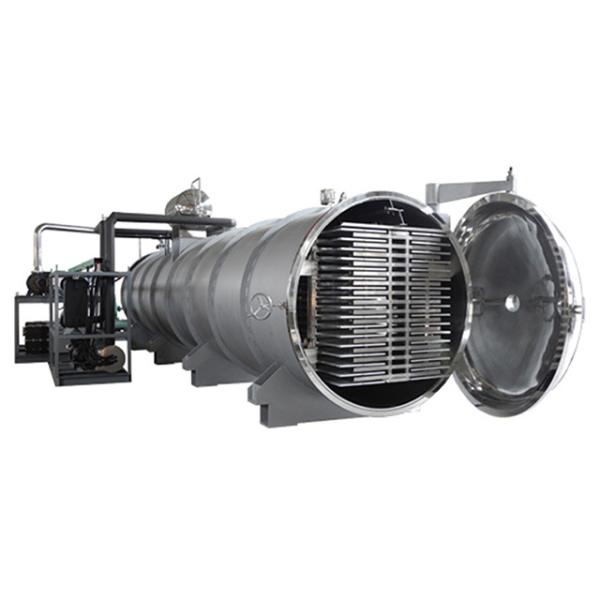 Fruit Food Vacuum Freeze Dryer For Industrial Food Freeze Drying Process