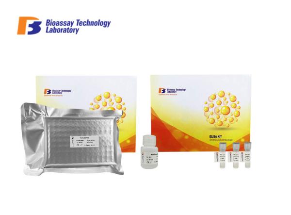 Human Enzyme Immunoassay Kit GPR173 Probable G - Protein Coupled Receptor 173