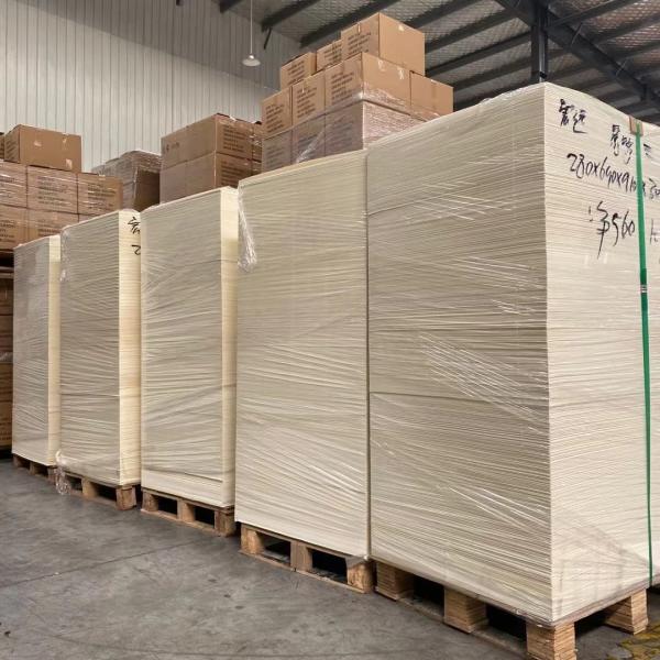 O PE 190gsm-330gsm personalizado revestiu o papel na folha para a curva da salada