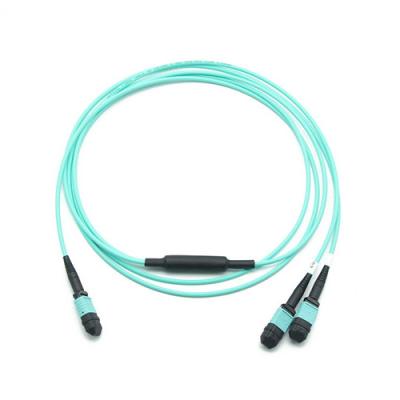 perte standard de 100Gbps 24F 50/125 OM3 LSZH MPO 24F MPO (femelle) à 2 x 12F MPO 50/125 TYPE (femelle) du câble LSZH du tronc OM3