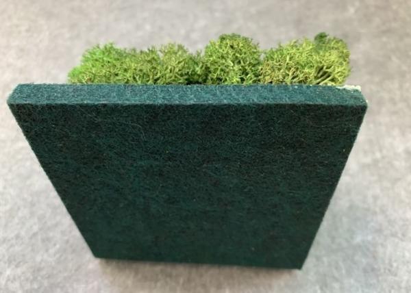 Green Plant Decorative Acoustic Panels Soundproofing Light Weight Easy To Dust