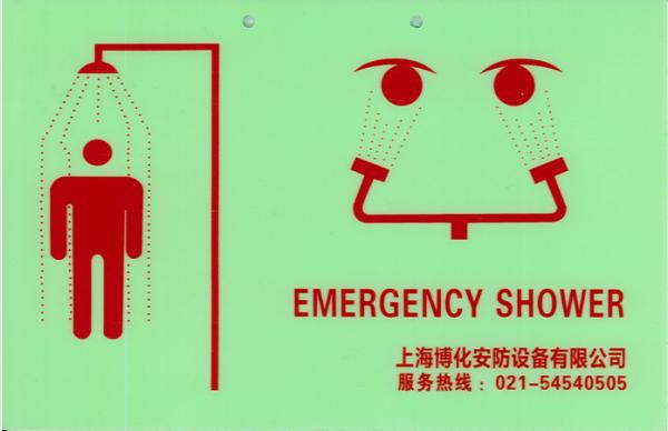ANSI-Compliant Stainless Steel Emergency Shower Eyewash Station