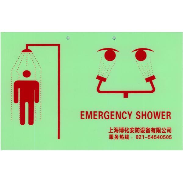 ANSI-Compliant Stainless Steel Combination Shower and Eyewash Station