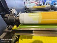 Ideal para el embalaje de alimentos y cuidado de la salud Máquina de impresión Flexo tipo manga