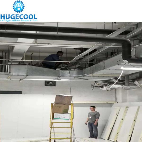 COLDROOM35 Serre-froid pour légumes et fruits Unité de réfrigération du sang