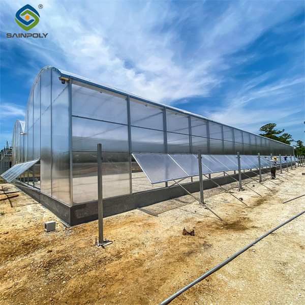 Customized Size Intelligent Greenhouse Vegetable Growing Greenhouse
