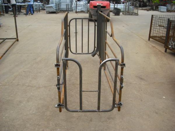 Heavy Duty Pig Farming Equipment , Durable Gestation Stalls For Sows