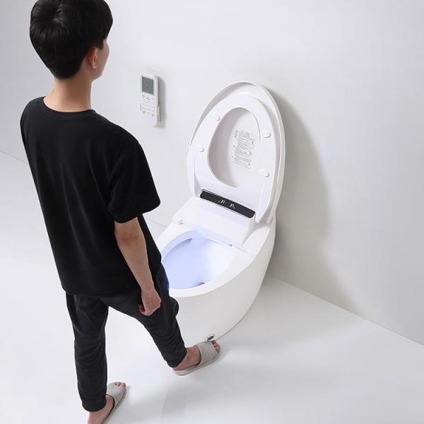 Floor Mounted Ceramic One Piece Intelligent Toilet Bowl Bathroom White Bidet
