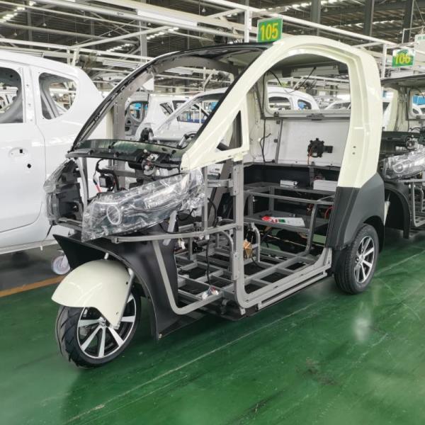 Raysince latest model enclosed electric tricycle China top sales 3 wheel electric car for adults