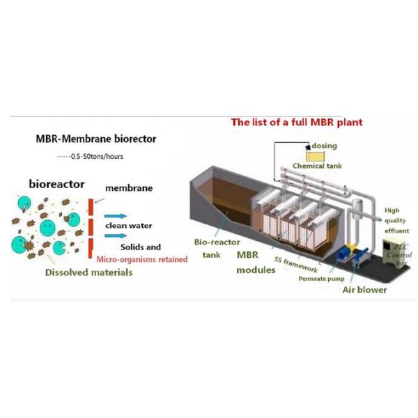 Производительность 3000 л/час Аквакультура Очистка сточных вод MBR Дизайн интегрированного оборудования