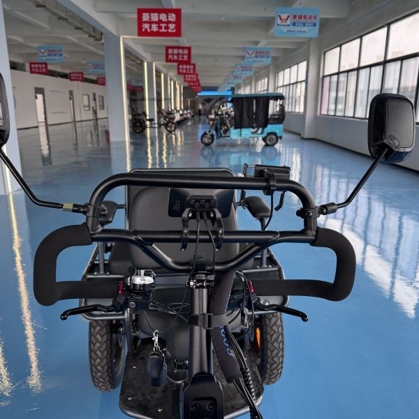 Triciclo eléctrico de dos plazas con conducción suave, 70 kg, con neumáticos todoterreno