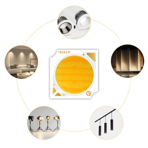 Fabrica de personalización de la lámpara fotográfica de alta potencia Bi Color 18W 24W 25W 30W 1919 Cob Led Chip