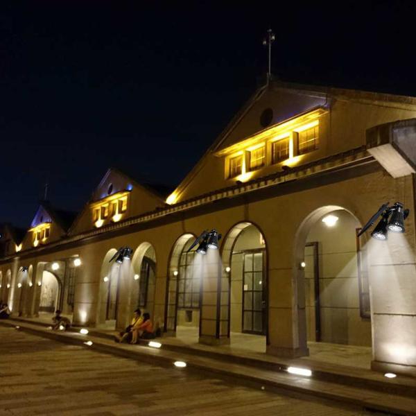 Solar Energy Powered Dual Head Upgraded Double Spotlights 12 LED Outdoor Garden Light