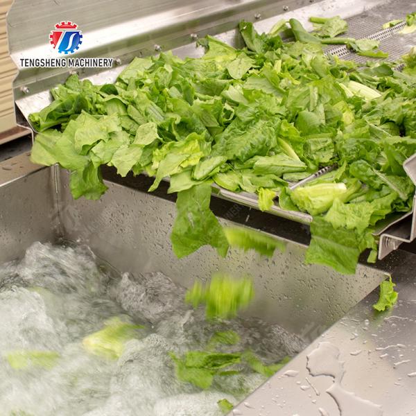Double Vortex cleaning production lineOrange Leaves Vegetables sward beans soybeans green beans chickpeas beans  red beans mung beans green peas Fruit Vegetable FOOD processing production Machine