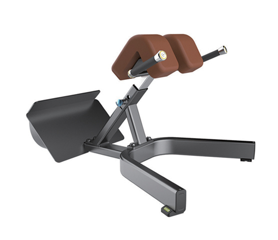 Firm Roman Chair U+B8041 Neutral Grip Sturdy Stabilizing Convertible High Capacity