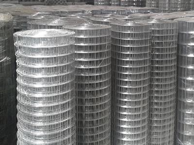 Electro Galvanized 12 14 Gauge Wire Mesh Roll Wire Mesh Gabion Box
