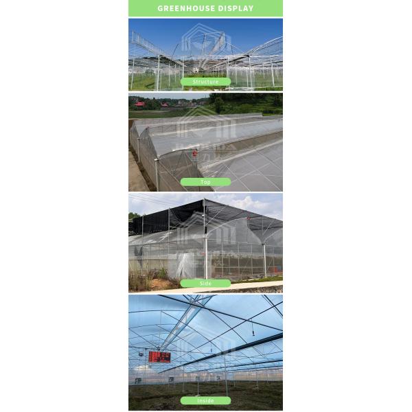 Политоннельная теплица пилозубная верхняя вентиляционная туннель теплица для выращивания овощей