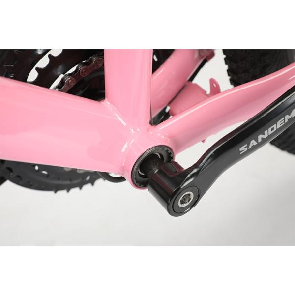 Стальная рама 20 дюймов WANDA 20 * 2.125 Шины Детский велосипед для прочного 21 скорости MTB