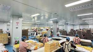 Henan Betterly  Sanitary Materials Co., Ltd.