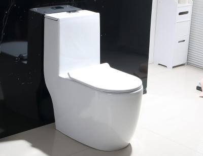 Dual-Flush Single Piece Toilet with Scratch Resistant Glaze