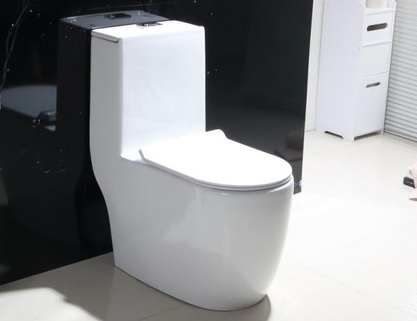 Dual-Flush Single Piece Toilet with Scratch Resistant Glaze