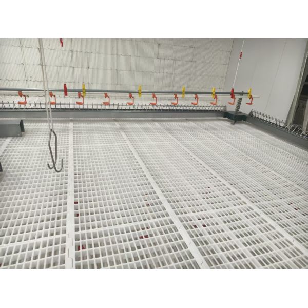 Pre-engineered Broiler Chicken House with Low Maintenance and Customizable Exterior Finishes for Efficient Poultry Farming
