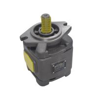 HG1 Bomba de engrenagem interna hidráulica de deslocamento fixo HG1-25 HG1-32 HG1-40 HG1-50 HG1-63