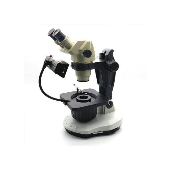 Oval shape Generation 3rd Binocular Microscope With F11 binocular lens