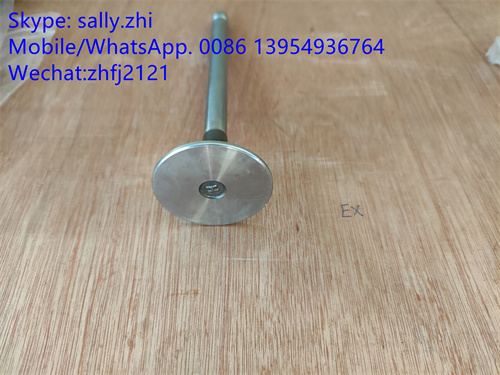 YUCHAI exhaust valve 4110000560144, yuchai engine spare parts for wheel loader LG936L