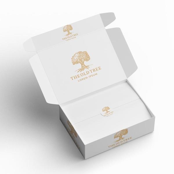 Caja de correo de envío corrugado con logotipo personalizado para entrega de envases de tiendas ecológicas