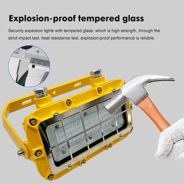 Высокоэффективные взрывозащитные светильники 2х4 2700K-6500K