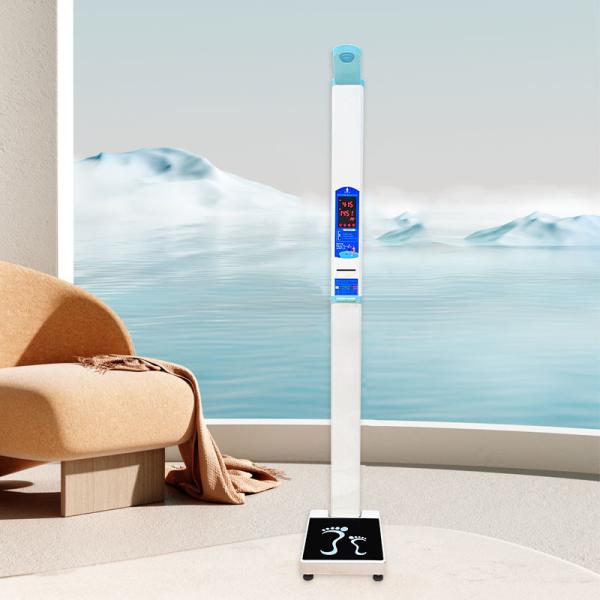 High Weight Scale Machine with Coin Weighing Scales Manufacturer