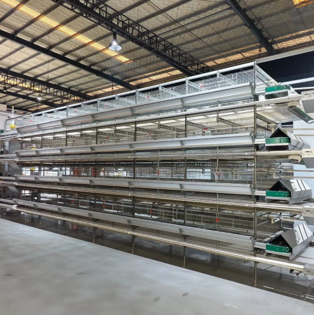Hot-Dip Galvanized Battery Chicken Cage with Automatic Feeding System and Customizable Dimensions