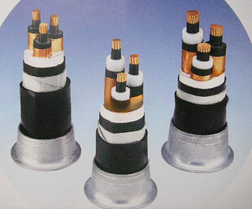 HOT IEC Standard 33kv XLPE Coated Steel Wire Armoured Cable for Construction Low Voltage 12v Copper Conductor Imported Canada