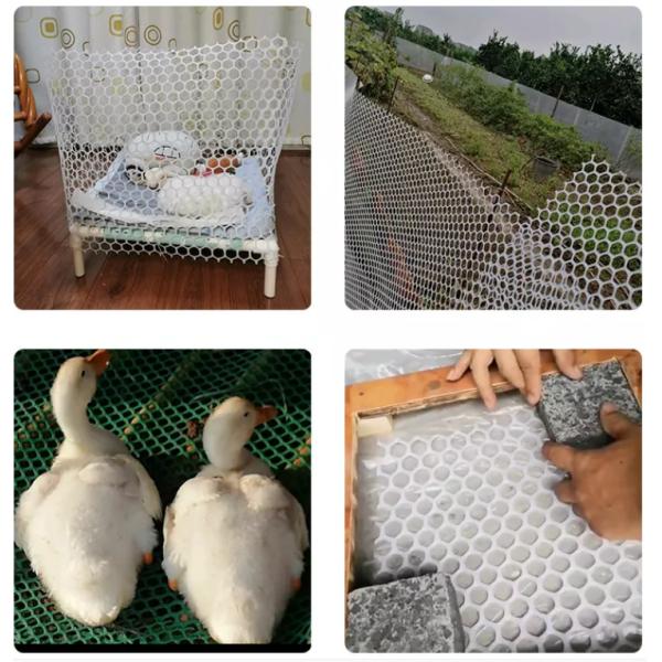 3m Width Plastic Mesh Netting 100m Long In Roll Extruded Plain Rigid