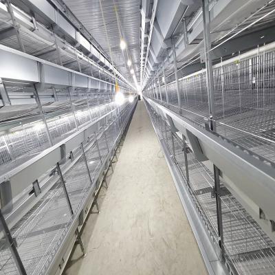 Four Layers Battery 30000 Broiler Equipment 2.5mm Thickness SONCAP Listed