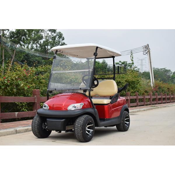 2 Person Electric Golf Carts Club Electric Buggy With Golf Bag Bracket With CE Certification