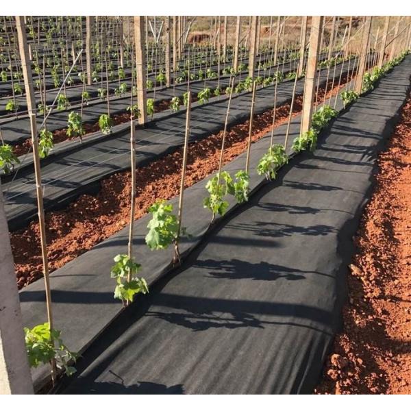 Ткань черного земледелия полипропилена не сплетенной ткани Spunbonded Nonwoven