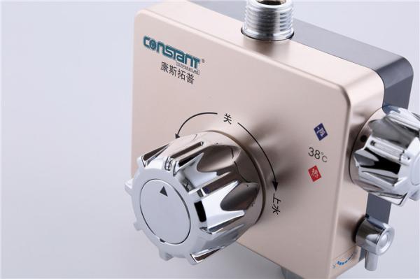 Double Switch Shower Thermostatic Control Valve , 1/2 Inch Thermo Shower Valve