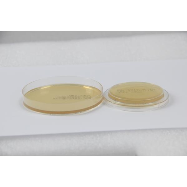 Turbulent Flow Pvc Isolator Testing With Pre - Chamber For Beverage Factory