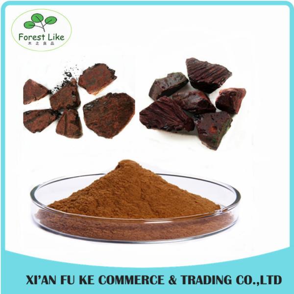 100% Pure Natural Free Sample Dragon Blood Extract Powder