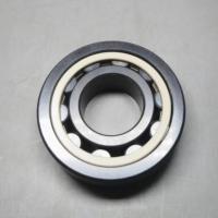 SSiC Ceramic Roller Bearings NU 204 Balls PEEK Cage 20×47×14mm