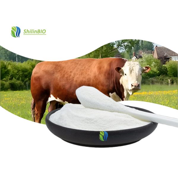 Cosmetic Grade Elastin Peptides 90% Hydrolyzed Elastin Powder