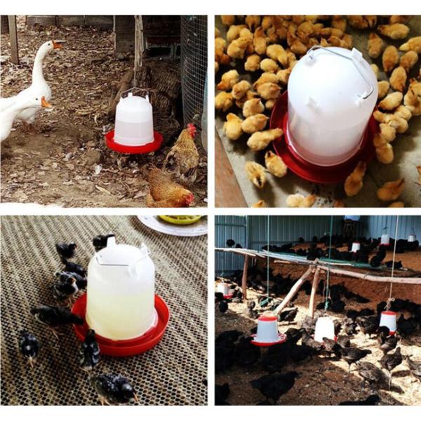 Фидер воды пьяниц 15KG воды птицы HDPE автоматический для цыплят
