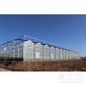 Fertilização de plantas Esqueleto de vidro multi-span com comprimento personalizável de até 50 m