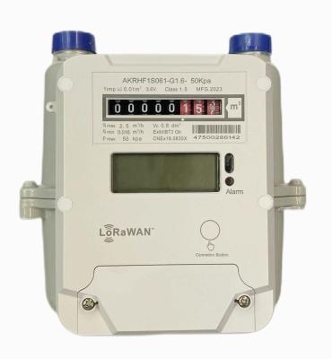 STS AMR Prepaid LORAWAN Gas Meter